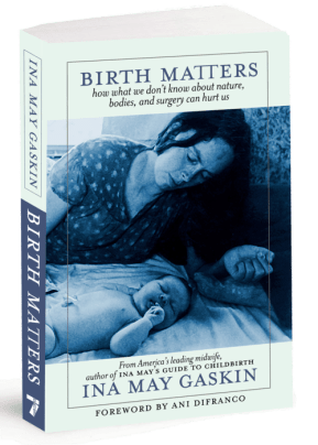 9781583229279_Gaskin-f_feature-c42b714f48ddc6d765e439b8d36d74f3