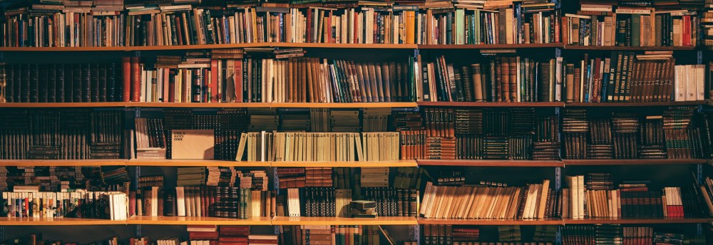 alfons-morales-410757-unsplash