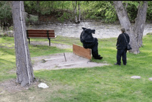 Screen Shot 2018-05-10 at 6.56.17 PM